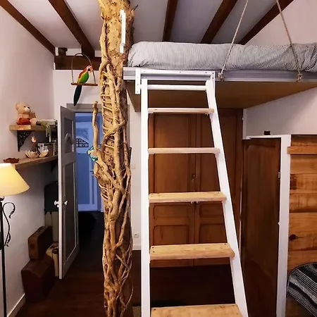 La Casa Del Arbol Saint-Sébastien