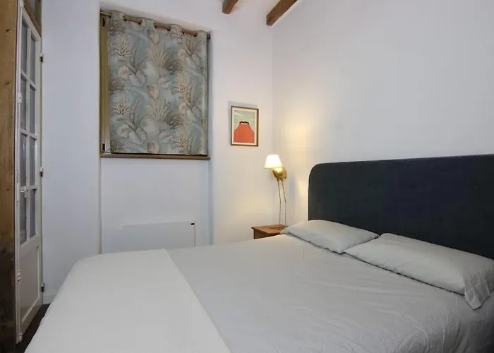 La Casa Del Arbol Lägenhet San Sebastián