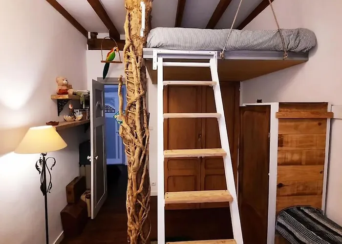 La Casa Del Arbol San Sebastián