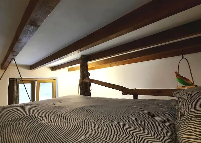 Daire La Casa Del Arbol